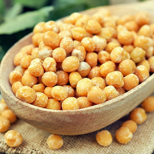 Wooden spoon filled with yellow field peas on a wooden surface with green leaves in the background